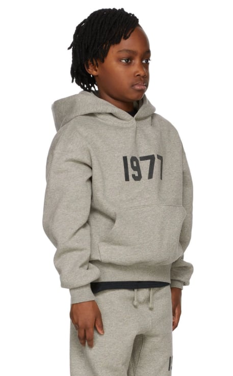 Essentials 1977 Hoodie Gray